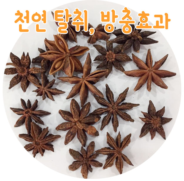 팔각회향(팔각향, 스타아니스) 20g