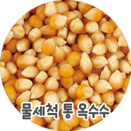 물세척 통 옥수수 100g