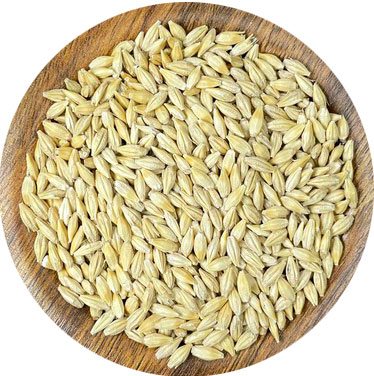 물세척 겉보리 100g
