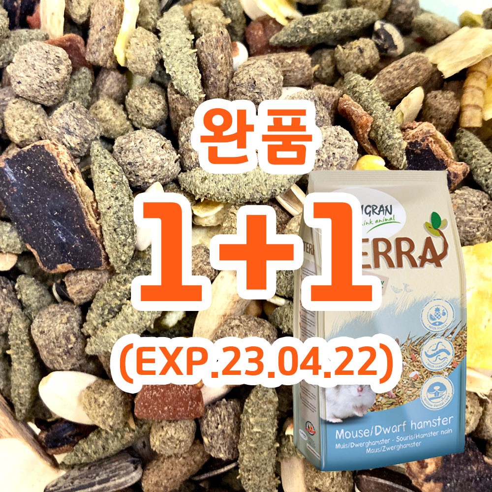 바디그란 테라 드워프햄스터