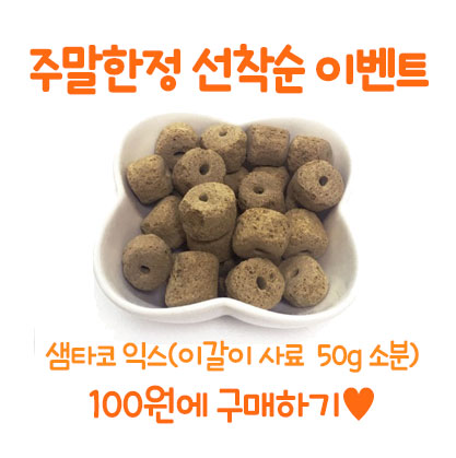 샘타코 익스 선착순 이벤트