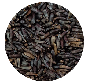 세척볶음 엉겅퀴 100g