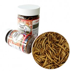 국내산 진공건조 밀웜