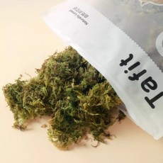 타핏 건조 숲이끼 5L