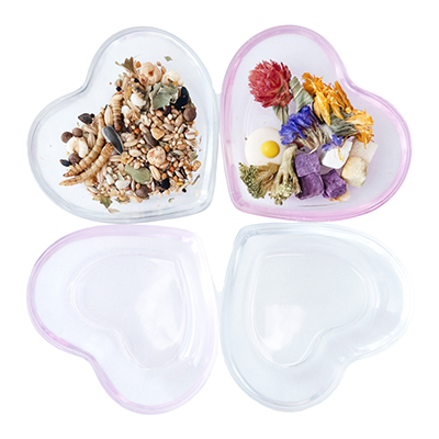 햄스터 하트그릇