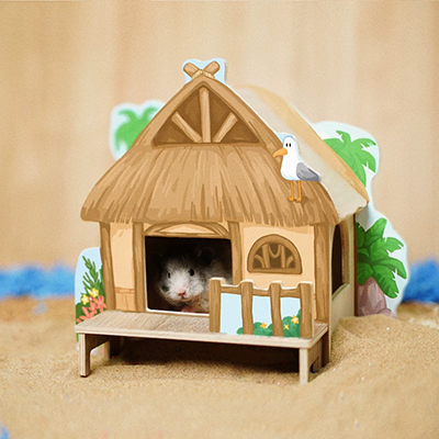 스윗슈가 해변 홀리데이 은신처